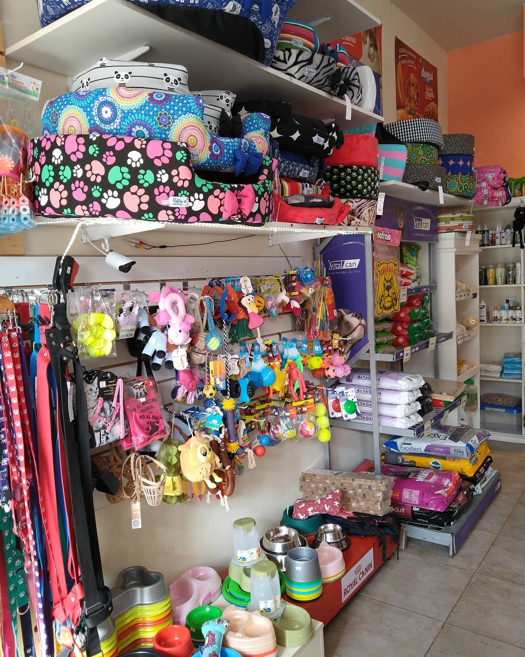 Zona de confort con camitas y juguetes para mascotas